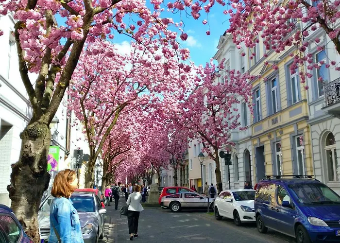 호텔 Kaiser Karl 4*